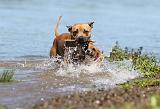 STAFFIE 177